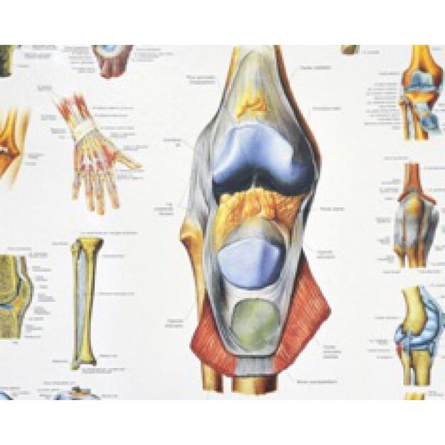 DOUBLE ACTION gel-balm, DVEJOPO POVEIKIO GELIS-BALZAMAS, 100 ml 3